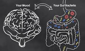 gut health, microbiome, gut-brain axis, probiotics, fermented foods, immune system, mental health, gut health tips, fiber diet, gut health supplements, inflammation, gut bacteria, improve digestion, healthy gut, holistic wellness